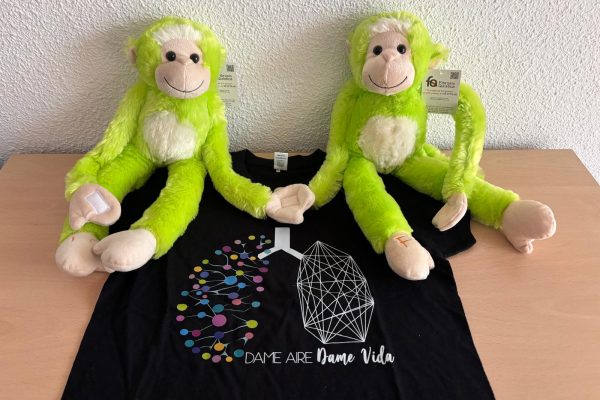 PULMONITOS Y CAMISETA PULMONITOS Y CAMISETA